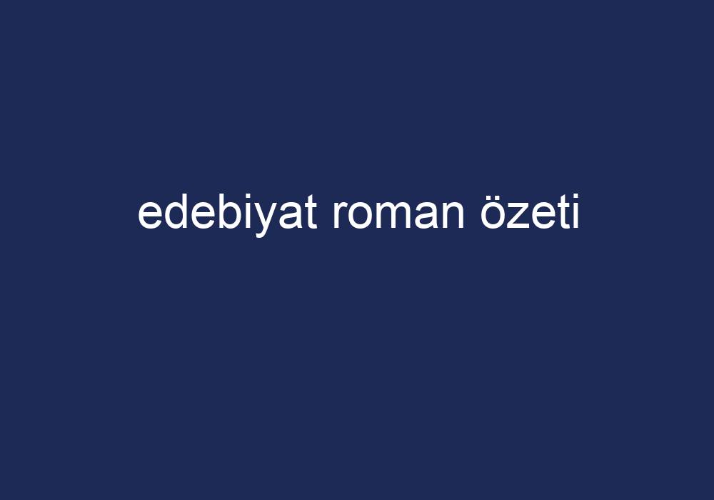 Edebiyat Roman Özeti